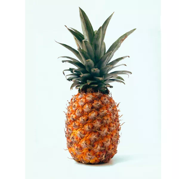 Ananas